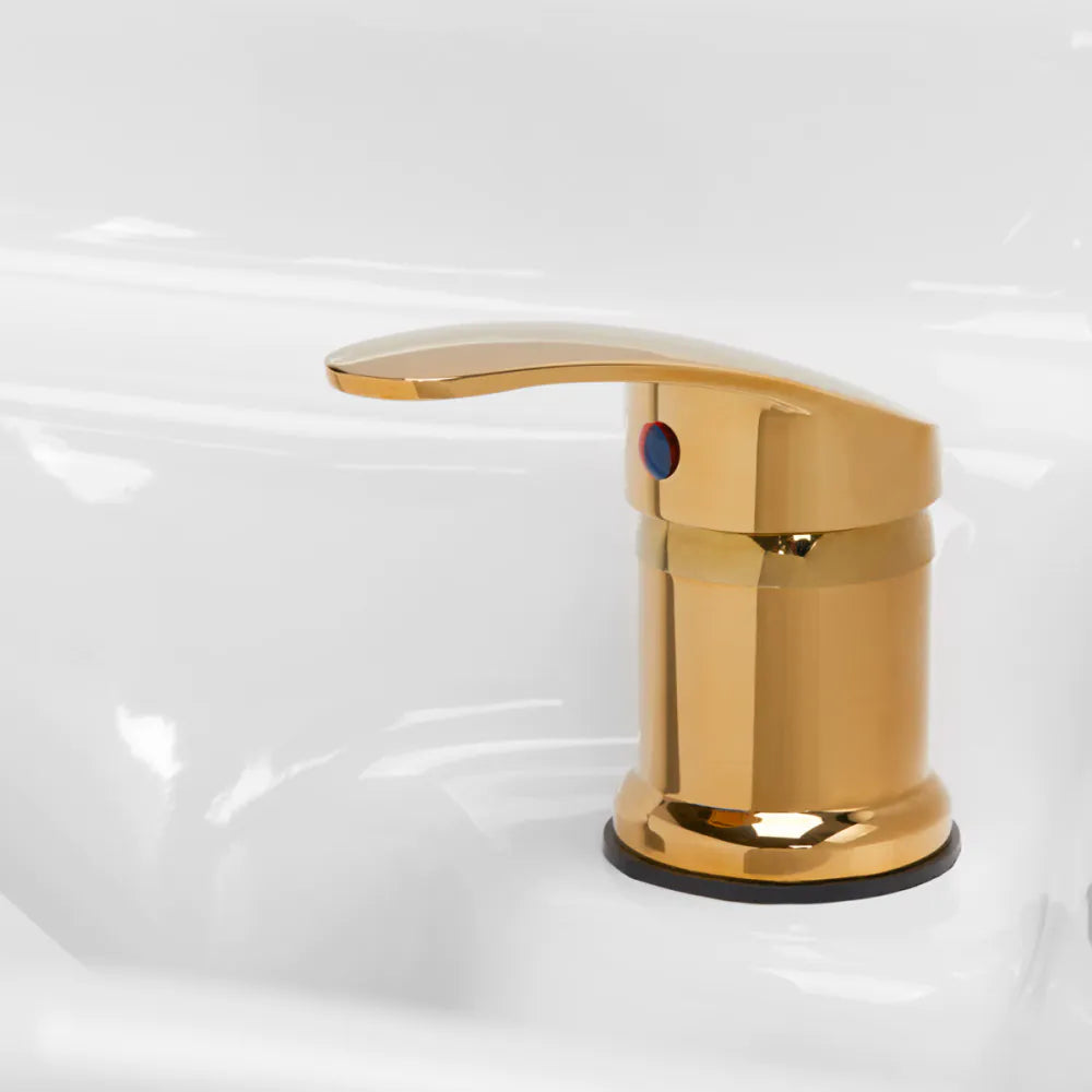Gabianno shampoo unit with foot care station