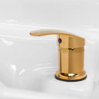 Gabianno shampoo unit with foot care station