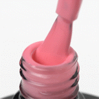 Kollektion Pink Gellack  317 – 5g
