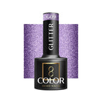 Glitter gel polish G09-5g