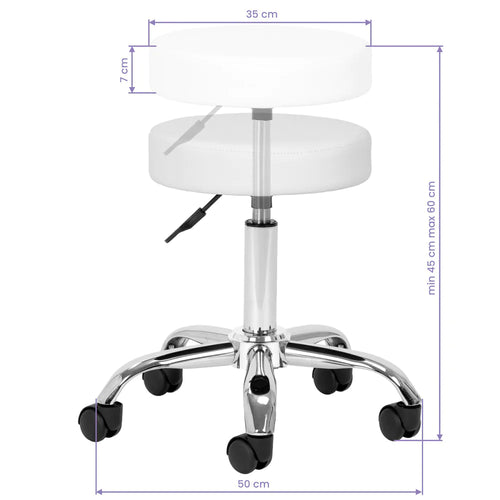 AM-310v cosmetic stool