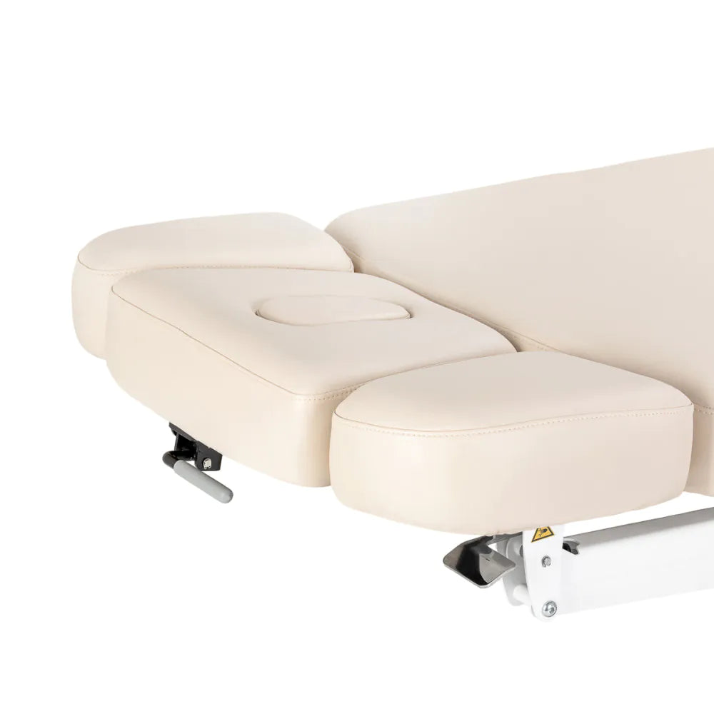 SPA-loungesäng Sillon Leisure Premium