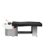 Gabbiano Head Spa hair wash unit